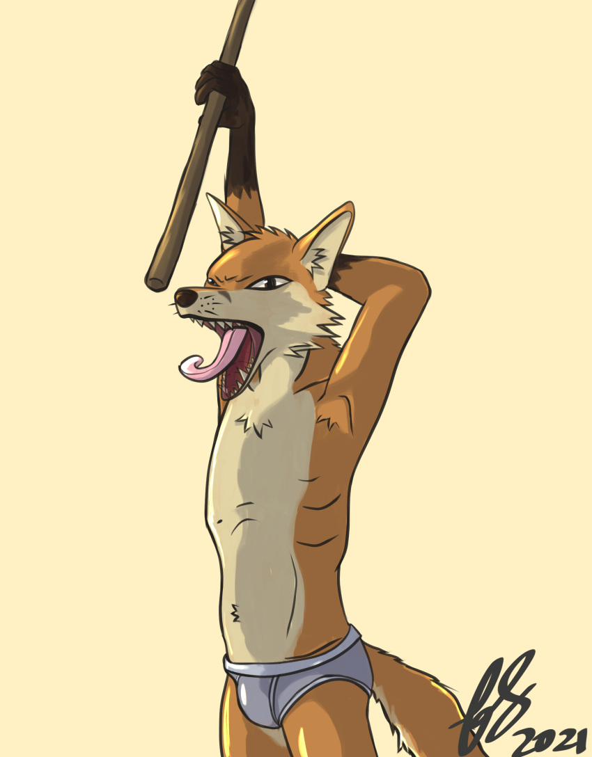 absurd_res anthro bulge canid canine clothing fighty_foxxo_(furry_soren) fox fur furry_soren hi_res male mammal narrowed_eyes open_mouth orange_body orange_fur solo stick stretching tongue tongue_out underwear weapon yawn