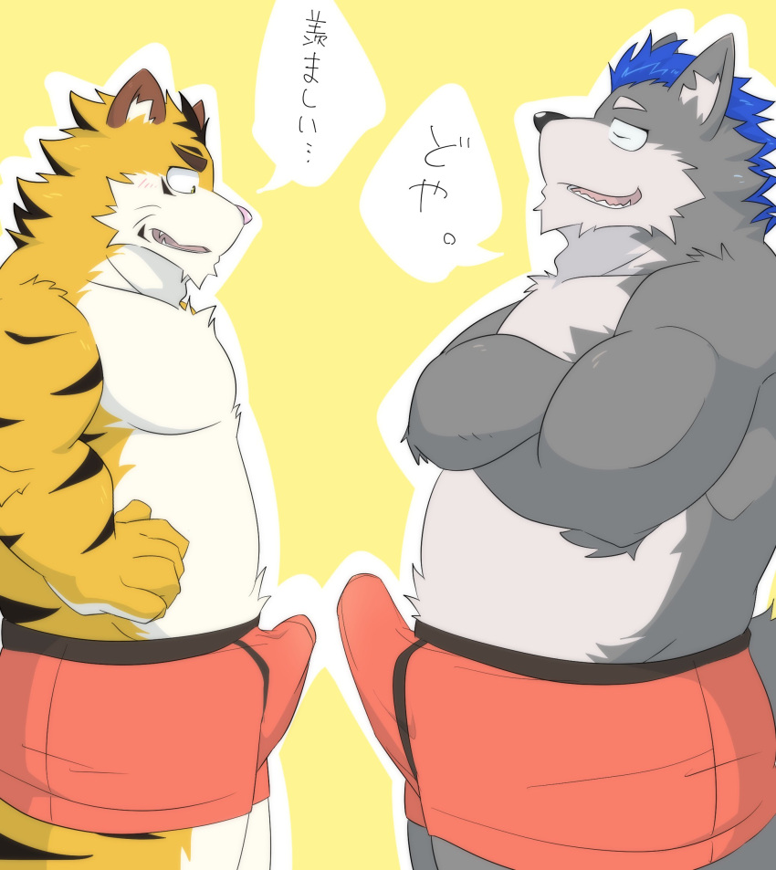 2021 anthro blue_hair bulge canid canine canis clothed clothing duo erection erection_under_clothing felid grey_body hair hi_res japanese_text kemono male male/male mammal pantherine slightly_chubby text tiger tora_oekaki underwear white_body wolf yellow_body