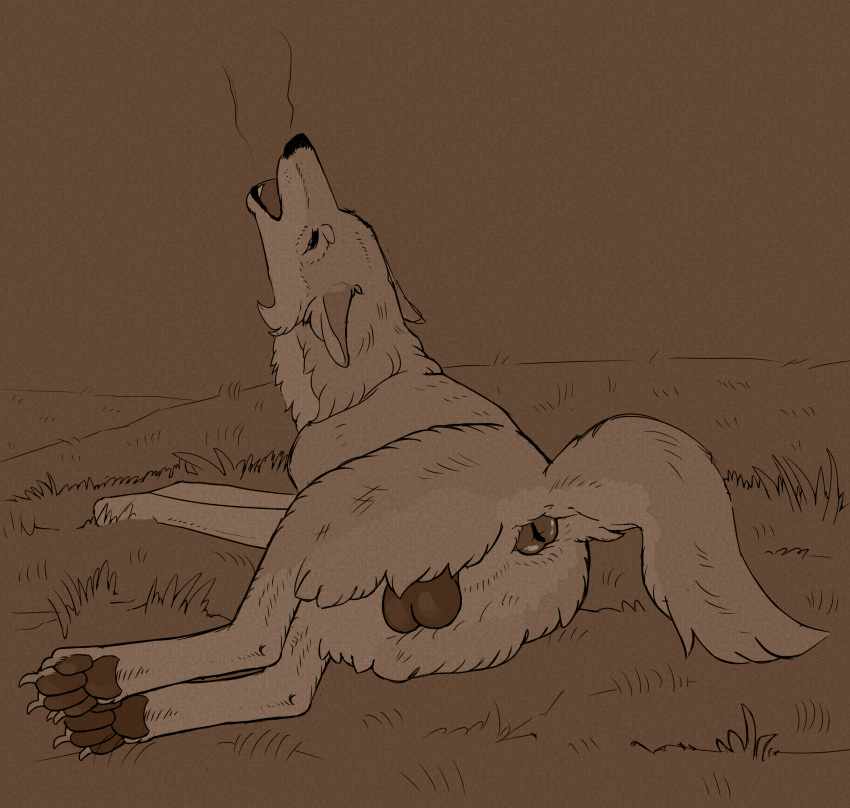 anatomically_correct anatomically_correct_anus anus balls big_balls butt canid canine canis casual_exposure dark_balls darkened_balls darkened_genitalia ears_back eyes_closed feral genitals grass harpsichord_(artist) hi_res howl line_art lying male mammal monochrome on_side outside pawpads paws pivoted_ears plant saggy_balls solo tail_aside wolf