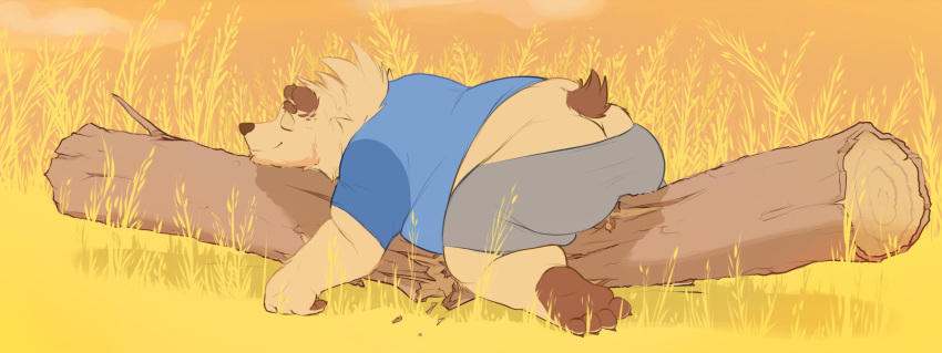 2021 anthro bearwithabroom belly bottomwear brown_body brown_fur butt clothing detailed_background eyes_closed fur hi_res male mammal outside overweight overweight_male shirt shorts sleeping solo topwear ursid