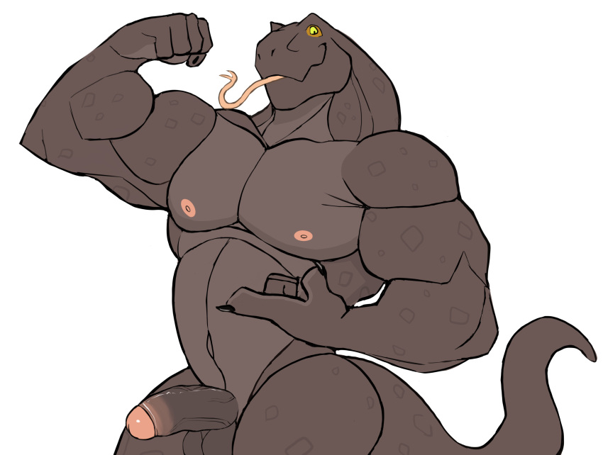 absurd_res anthro balls brown_body darknaigart flexing genitals hi_res komodo_dragon lizard male monitor_lizard muscular muscular_anthro muscular_male nipples non-mammal_nipples nude pecs penis reptile scalie simple_background solo tight_foreskin tongue tongue_out white_background