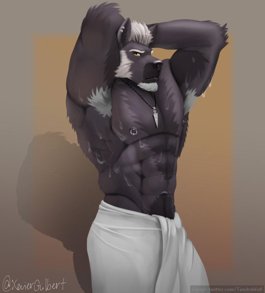 abs anthro armpit_hair body_hair canid canine canis hair hi_res looking_at_viewer male mammal muscular muscular_male nipple_piercing nipples piercing pose solo text towel towel_only url wolf xevier_gilbert