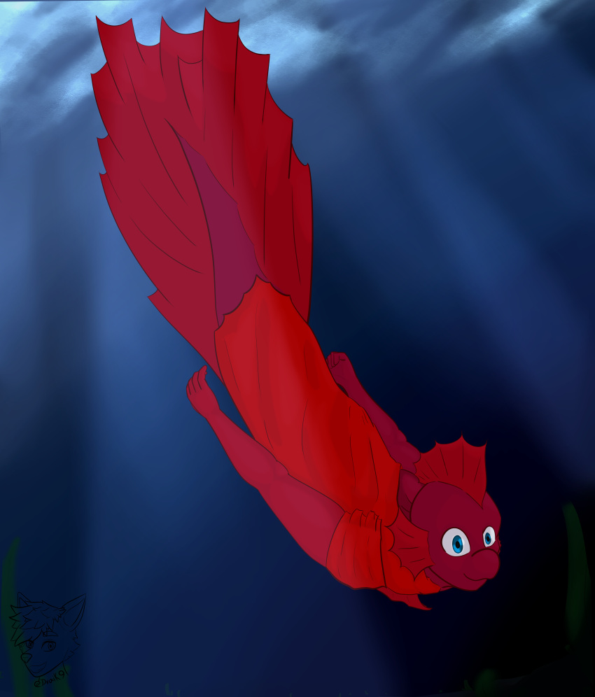 absurd_res anthro clothing draik fish hi_res male marine red_body robe solo swimming