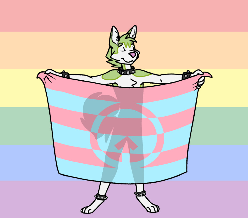 4_toes 5_fingers andromorph_(lore) andromorph_pride_colors anklet anthro biped bracelet byte_fantail_(character) canid canine canis cheek_tuft chest_tuft collar digitigrade domestic_dog eyes_closed facial_tuft feet fingers flag fur green_body green_fur hi_res holding_flag holding_object husky inner_ear_fluff jewelry legband lgbt_pride male mammal mostly_nude multicolored_body multicolored_fur nordic_sled_dog pose pride_color_background pride_colors rainbow_flag rainbow_pride_flag rainbow_symbol silhouette sillydraco simple_background six-stripe_rainbow_pride_colors smile solo spiked_anklet spiked_bracelet spiked_collar spiked_legband spikes spitz standing symbol toes tuft two_tone_body two_tone_fur white_body white_fur