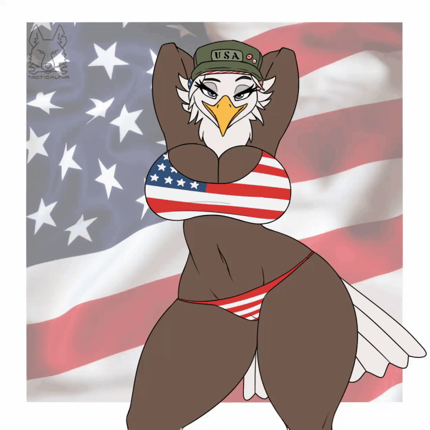1:1 2021 accessory accipitrid accipitriform american_flag_bikini animated anthro avian bald_eagle beak bedroom_eyes big_breasts bikini biped bird black_eyebrows black_eyelashes blinking border bottomwear bouncing_breasts breast_jiggle breasts brown_body brown_feathers butt_from_the_front camel_toe cleavage clothed clothing curvaceous curvy_figure dancing digital_media_(artwork) eagle eyebrows eyelashes feathers female flag_background flat_colors frame_by_frame front_view fully_clothed hair half-closed_eyes hands_behind_head hat headband headgear headwear hi_res hourglass_figure huge_breasts looking_at_viewer loop midriff military_cap multicolored_body multicolored_feathers narrowed_eyes navel non-mammal_breasts raised_eyebrow rosie_(breegulleagle) sea_eagle seductive shaking_hips short_playtime signature simple_background skimpy small_waist smile smiling_at_viewer smirk solo stars_and_stripes swimwear tacticalfur tail_feathers teal_eyes text text_on_clothing text_on_hat text_on_headwear thick_thighs topwear two_tone_body two_tone_feathers united_states_of_america voluptuous watermark white_body white_border white_feathers white_hair white_tail wide_hips yellow_beak