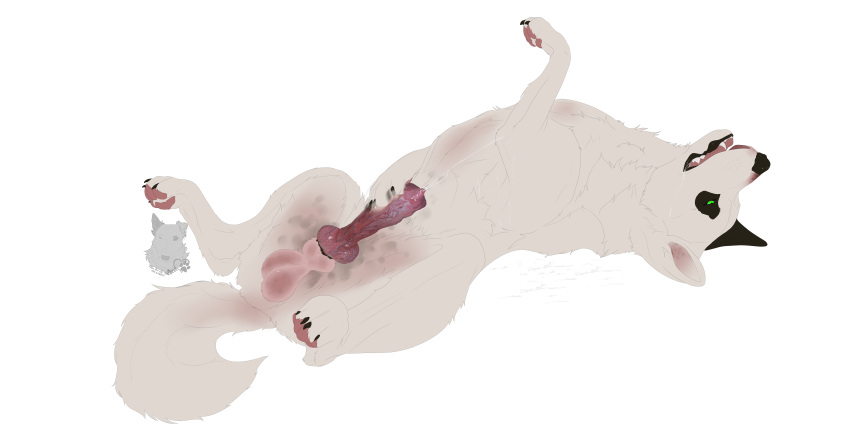 2021 absurd_res alpha_channel animal_genitalia animal_penis balls bodily_fluids canid canine canine_penis canis cum cum_on_self domestic_dog feral genital_fluids genitals hi_res jenklin_(character) jenklinbullterrier_(artist) knot lying male mammal masturbation on_back penile penile_masturbation penis simple_background solo transparent_background