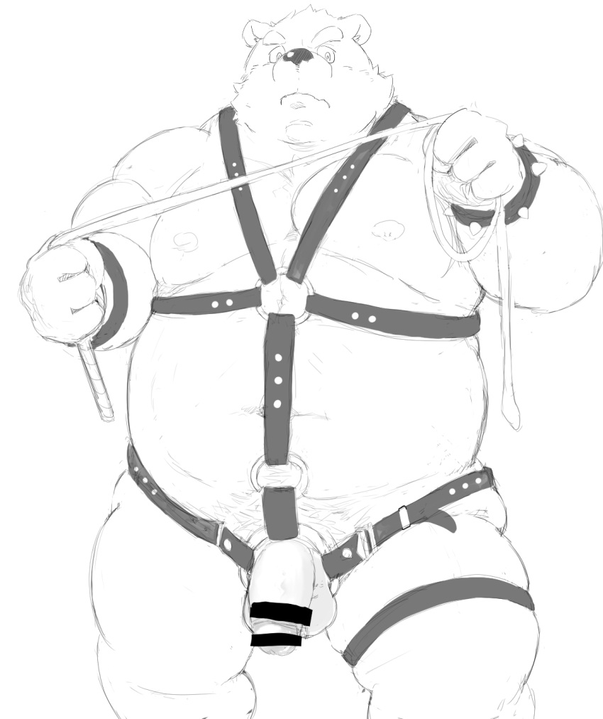 2021 anthro balls bdsm belly bondage bound censored flaccid genitals hachirouta harness hi_res humanoid_hands kemono leather male mammal monochrome moobs nipples overweight overweight_male penis simple_background solo ursid white_background