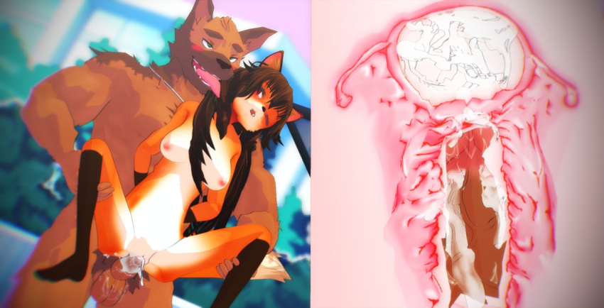 2019 3d_(artwork) anthro balls blush bodily_fluids breasts canid canine canis cum cum_in_pussy cum_in_uterus cum_inside digital_media_(artwork) domestic_dog duo erection fallopian_tubes female female_penetrated fox genital_fluids genitals german_shepherd herding_dog humanoid_genitalia humanoid_penis internal looking_pleasured male male/female male_penetrating male_penetrating_female mammal muscular muscular_male nipples nude open_mouth ovaries pastoral_dog penetration penile penile_penetration penis pubes pussy sex shepherd_(torata3220) tongue tongue_out torata3220 uterus vaginal vaginal_penetration