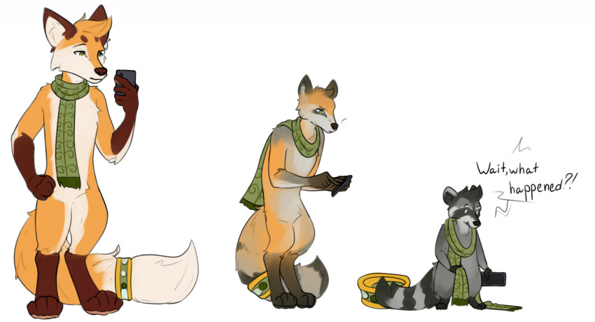 anthro canid canine fox green_scarf kiri-anko male male/male mammal procyonid raccoon scarf solo transformation transformed