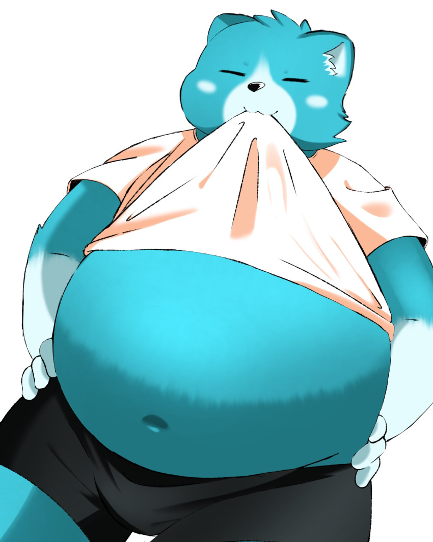 2021 anthro belly black_nose blue_body blue_fur bottomwear bulge clothing fur hi_res kemono male mammal moosh navel nintendo oracle_of_ages oracle_of_seasons overweight overweight_male shirt shorts simple_background solo the_legend_of_zelda topwear trail_arnak ursid video_games white_background