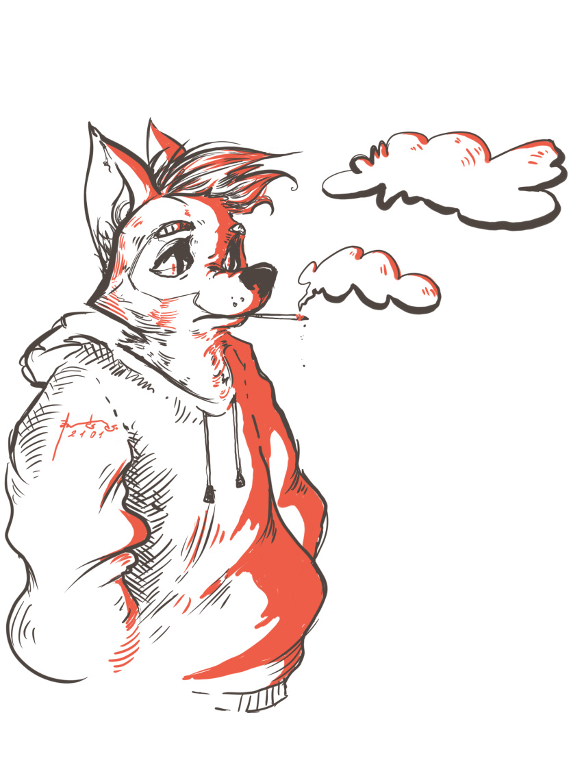 3:4 absurd_res andf anthro cigarette cigarette_in_mouth cigarette_smoke clothed clothing fur hair hi_res highlights_(coloring) hoodie looking_aside looking_away male mammal monochrome_fur monotone_body monotone_ears monotone_fur procyonid raccoon red_light red_lighting simple_background simple_coloring simple_colors smoking solo topwear white_background