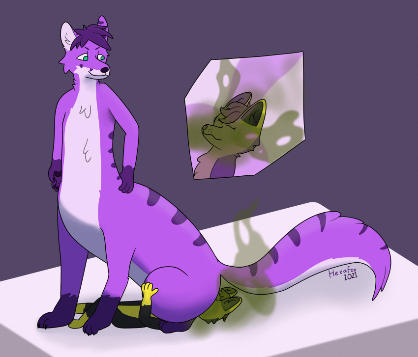 2021 absurd_res anthro canid canid_taur canine canine_taur canis dingo duo facesitting fart fart_cloud fart_fetish fox fox_taur fur hexafox hexafox_(artist) hi_res male male/male mammal mammal_taur purple_body purple_fur simple_background taur yellow_body yellow_fur