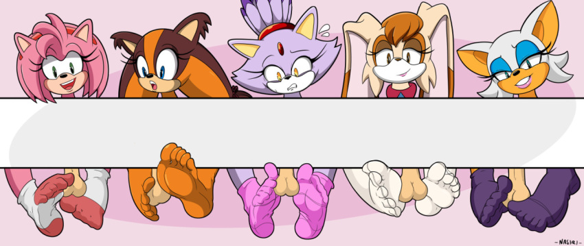 amy_rose anthro badger balls barefoot blaze_the_cat canid canine chiropteran clothing eulipotyphlan feet female foot_focus footwear fox genitals group gynomorph hedgehog intersex lagomorph leporid mammal mustelid musteline nasiri_(artist) rabbit rouge_the_bat sega socks soles sonic_boom sonic_the_hedgehog_(series) sticks_the_jungle_badger toes vanilla_the_rabbit