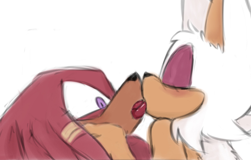 anthro blue_eyes chiropteran duo echidna female fur hi_res hottopicpiss knuckles_the_echidna long_tongue making_out male male/female mammal monotreme purple_eyes rouge_the_bat sega sketch sonic_the_hedgehog_(series) tongue tongue_out