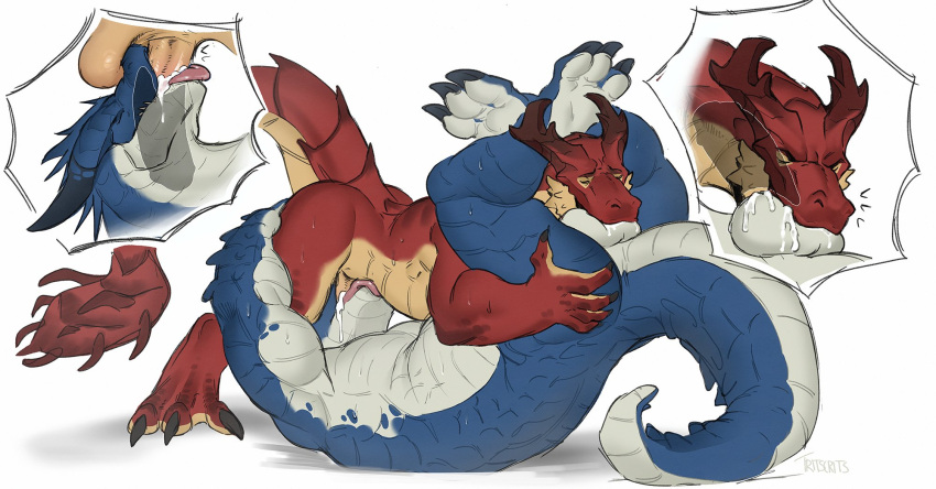 69_position anthro biceps big_tail blue_body blue_scales bodily_fluids butt butt_grab claws close-up countershading cum cum_in_mouth cum_inside dragon duo eyes_closed fellatio garret_beaux_(krawgles) genital_fluids hand_on_butt hi_res horn internal legs_around_head male male/male muscular muscular_anthro muscular_male oral pecs penile red_body red_scales reptile rook_(nimratu) scales scalie segmented_tail sex simple_background tan_body tan_countershading toe_claws tritscrits white_body white_countershading wingless_dragon