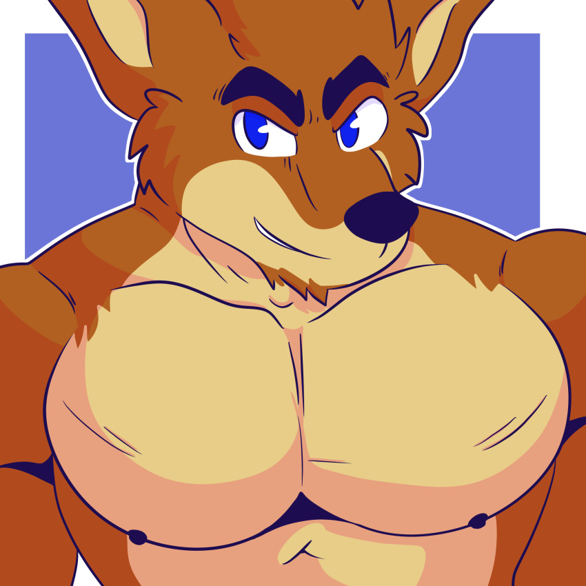 1:1 activision anthro bandicoot biceps crash_bandicoot_(series) crunch_bandicoot digital_media_(artwork) fizzyjay fur hi_res looking_at_viewer male mammal marsupial muscular muscular_anthro muscular_male nipples pecs simple_background smile solo video_games