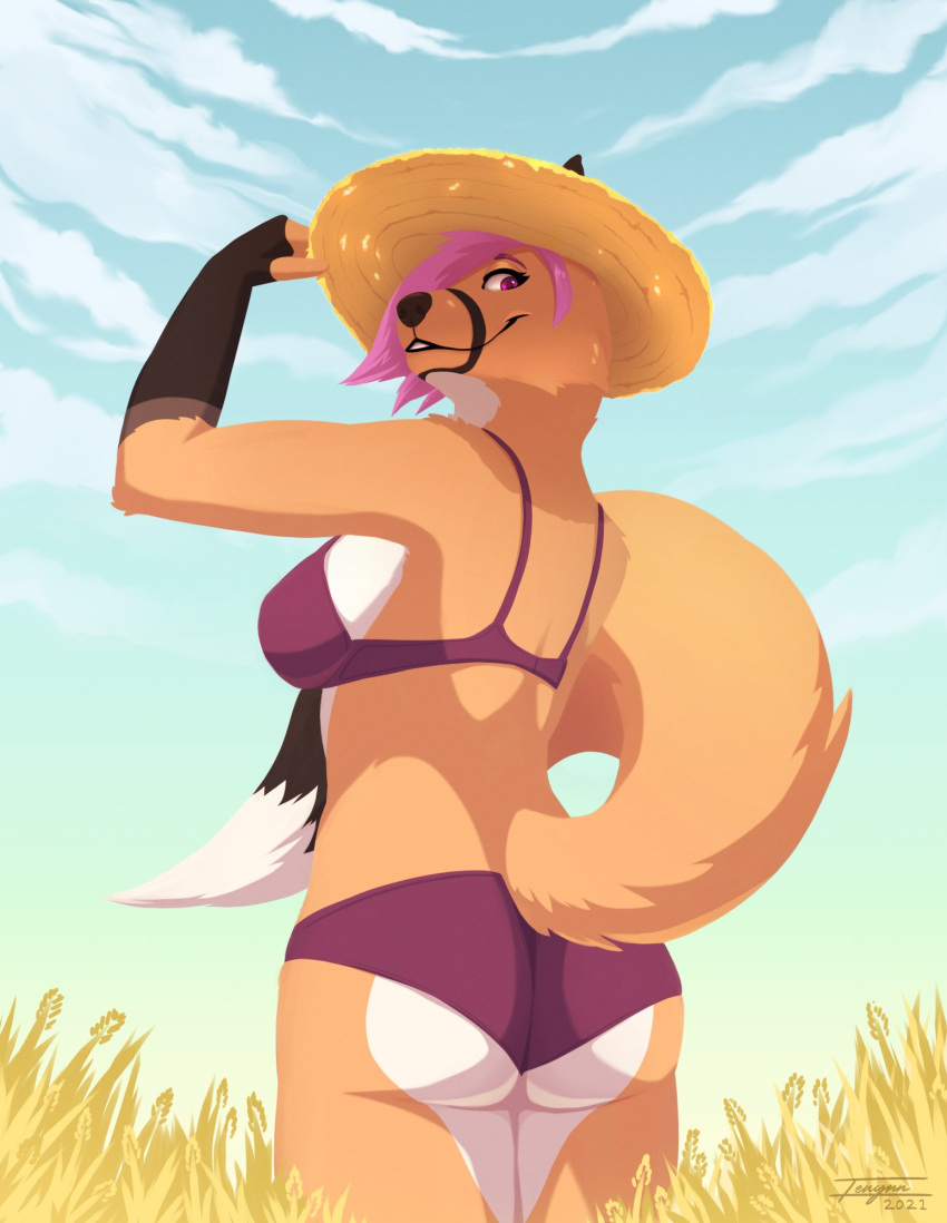 2021 anthro black_nose bra breasts butt_pose canid canine clothed clothing day detailed_background digital_media_(artwork) female fox hi_res mammal outside panties pose sky smile solo standing tenynn underwear