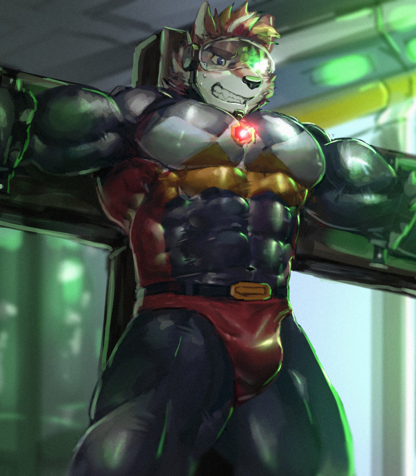 abs absurd_res anthro big_muscles canid canine clothing fur hi_res huge_muscles male mammal muscular muscular_anthro muscular_male neumokun pecs solo