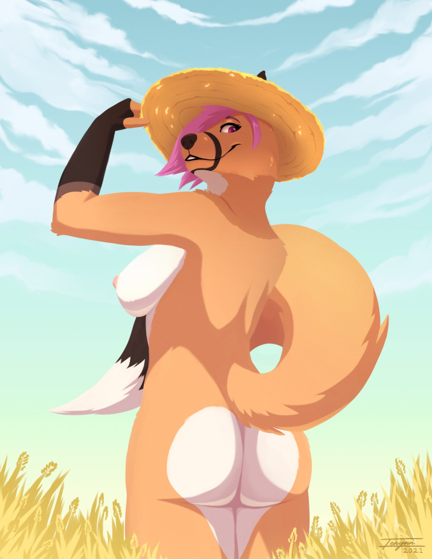 2021 anthro areola black_nose breasts canid canine day detailed_background digital_media_(artwork) female fox hi_res mammal nipples nude outside sky smile solo standing tenynn