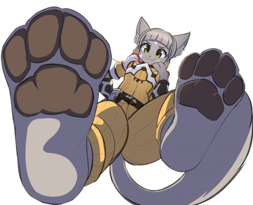 4_toes against_surface anthro anthrofied barefoot clothing domestic_cat facial_markings feet feet_against_glass felid feline felis female foot_focus fur grey_body grey_fur grey_hair hair head_markings looking_down low-angle_view mammal markings mrrowboat nia_(xenoblade) on_glass pawpads paws plantigrade simple_background smile soles solo toes white_background worm's-eye_view xenoblade_chronicles_2 yellow_eyes