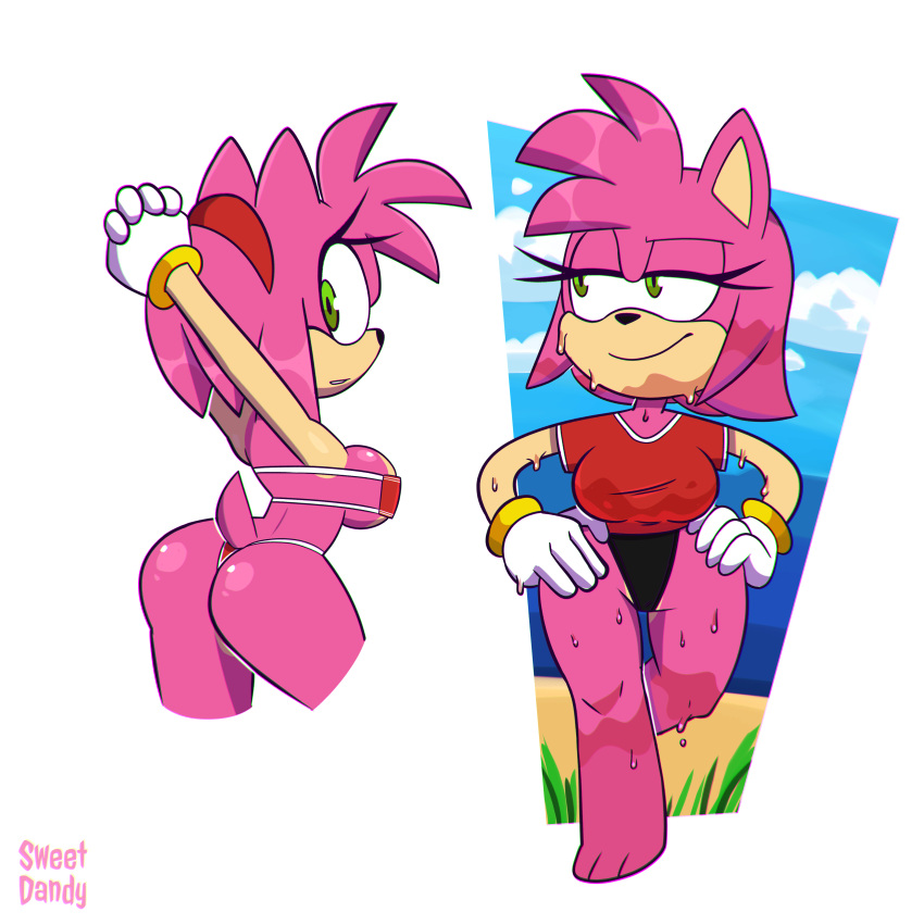 1:1 absurd_res amy_rose anthro beach big_breasts bikini breasts butt clothing eulipotyphlan female gloves hands_behind_head hands_on_hips handwear hedgehog hi_res looking_at_viewer mammal multiple_poses one-piece_swimsuit pose seaside sega simple_background smile smirk solo sonic_the_hedgehog_(series) sweetdandy swimwear wet white_background white_clothing white_gloves white_handwear