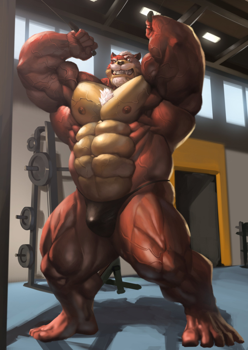2021 5_fingers 5_toes abs absurd_res anthro beard big_muscles black_nose body_hair bulge chest_hair clenched_teeth clothed clothing echin exercise facial_hair feet fingers fur green_eyes gym hair hi_res huge_muscles humanoid_feet humanoid_hands male mammal manly mature_anthro mature_male multicolored_body multicolored_fur muscular muscular_anthro muscular_male mustache nipples pink_nipples plantigrade red_body red_fur richard_baer solo standing tan_body tan_fur teeth thong toes topless two_tone_body two_tone_fur underwear underwear_only ursid veiny_muscles weightlifting white_hair workout