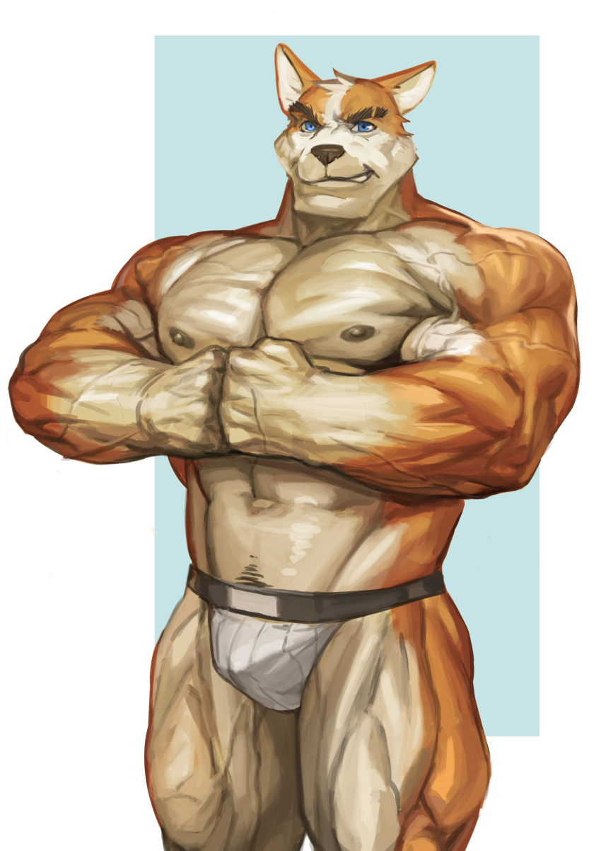 2021 5_fingers abs absurd_res anthro big_muscles black_nipples black_nose blue_eyes brown_body brown_fur bulge canid canine canis clothed clothing domestic_dog eyebrows fingers flexing fur grin harold_(traver009) herding_dog hi_res humanoid_hands jockstrap looking_at_viewer male mammal multicolored_body multicolored_fur muscular muscular_anthro muscular_male nipples pastoral_dog simple_background smile solo standing thick_eyebrows topless traver009 two_tone_body two_tone_fur underwear underwear_only veiny_muscles welsh_corgi white_body white_fur