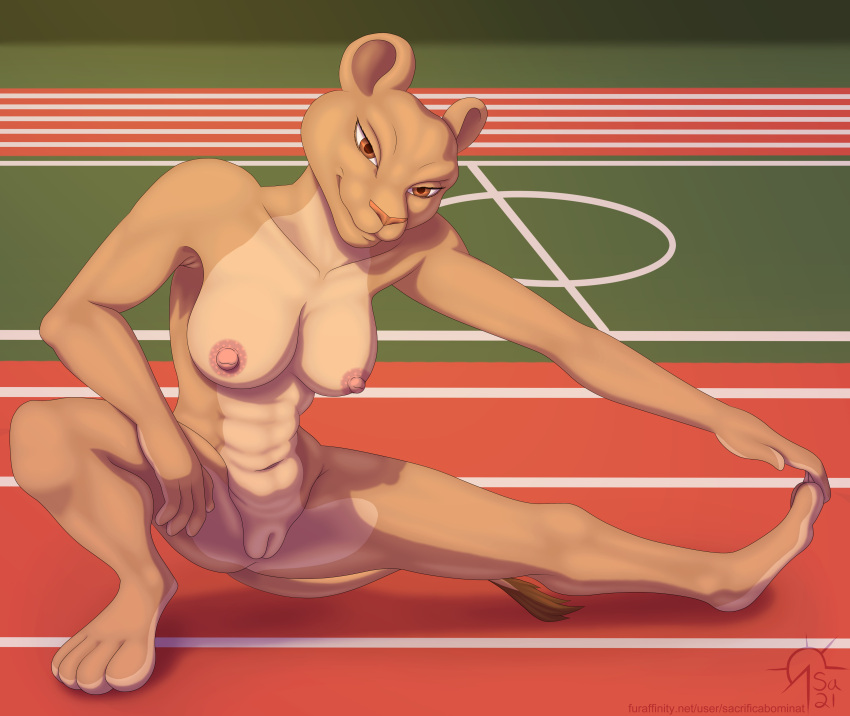 2021 4_fingers 4_toes abs absurd_res animalympics anthro areola athletic athletic_anthro athletic_female breasts butt butt_from_the_front digital_media_(artwork) feet felid female fingers fur genitals green_eyes hi_res hindpaw humanoid_hands kit_mambo lion looking_at_viewer mammal navel nipples nude pantherine paws pussy sacrificabominat signature smile smiling_at_viewer solo spread_legs spreading stretching tan_body tan_fur text toes track url