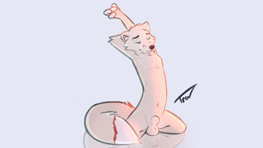 16:9 2020 animal_genitalia anthro arctic_fox balls biped canid canine casual_nudity dipstick_tail eyes_closed fox fully_sheathed fur genitals hi_res long_torso male mammal multicolored_tail navel nude red_body red_fur sheath simple_background solo stretching trev_(trevart) trevart white_background white_body white_fur widescreen