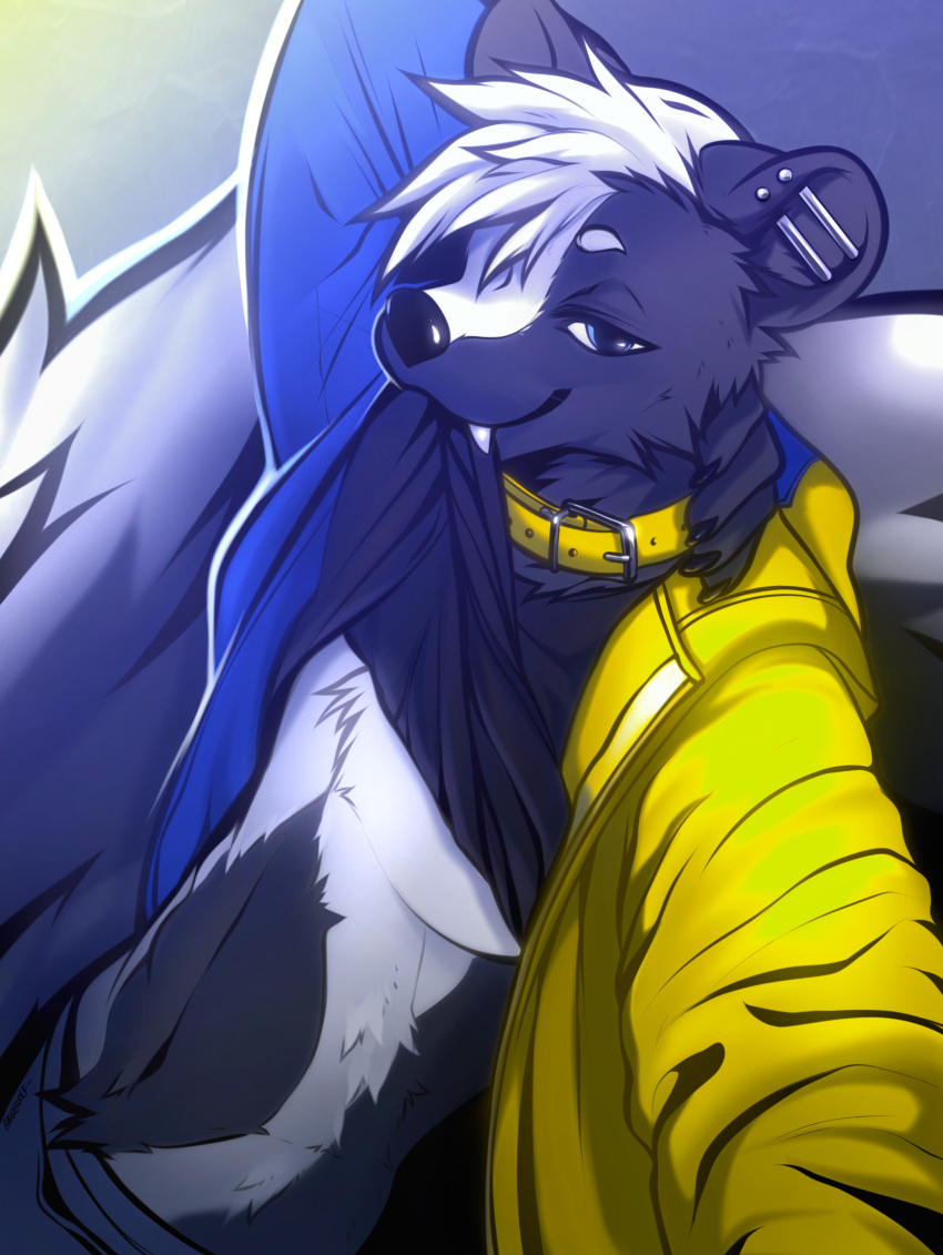 2020 abs absurd_res angiewolf anthro athletic athletic_male bedroom_eyes black_body black_clothing black_fur black_shirt black_topwear blue_clothing blue_eyes blue_hoodie blue_jacket blue_theme blue_topwear bottomwear claws clothed clothing clothing_lift collar digital_media_(artwork) ear_piercing fluffy fluffy_tail fur hair hand_on_neck hi_res hooded_skunk hoodie industrial_piercing jacket looking_at_viewer male mammal mephitid midriff multicolored_clothing multicolored_hoodie multicolored_jacket multicolored_topwear multiple_piercings narrowed_eyes navel nemoskii_stripey pants pecs piercing raised_arm raised_clothing raised_shirt raised_topwear seductive selfie shaded shirt shirt_in_mouth shirt_lift skunk snaggle_tooth solo striped_body striped_skunk stripes topwear tuft two_tone_theme unzipped ventral_groove white_body white_fur white_hair yellow_clothing yellow_collar yellow_hoodie yellow_jacket_(clothing) yellow_theme yellow_topwear