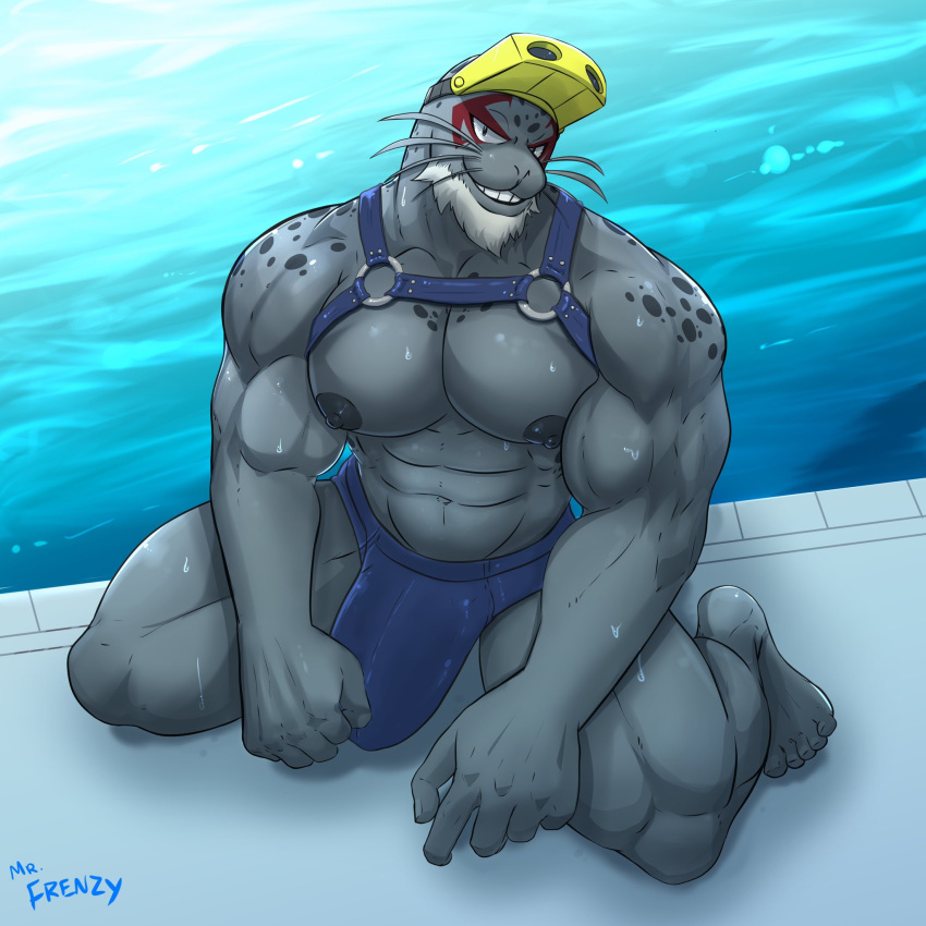 1:1 5_fingers 5_toes anthro areola beard big_bulge biped blue_bottomwear blue_clothing bottomwear bulge clothing eyewear facial_hair feet fingers goggles grey_body grin harness hi_res kneeling male mammal marine mr._frenzy muscular muscular_anthro muscular_male my_hero_academia nipples pecs pinniped seal selkie_(my_hero_academia) smile solo spots spotted_body spotted_seal toes water wet whiskers