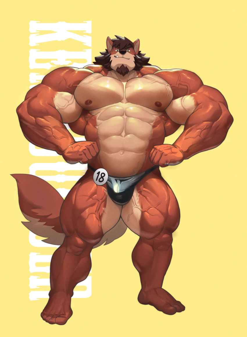 2021 5_fingers 5_toes abs absurd_res anthro barazoku barefoot beard big_muscles biped black_clothing black_nose black_thong black_underwear brown_body brown_eyes brown_fur brown_hair brown_nipples brown_tail canid canine canis clothed clothing countershade_arms countershade_face countershade_fur countershade_hands countershade_legs countershade_neck countershade_tail countershade_torso countershading cute_fangs digital_media_(artwork) facial_hair feet fingers flexing full-length_portrait fur glistening glistening_arms glistening_body glistening_clothing glistening_legs hair hi_res huge_muscles humanoid_feet humanoid_hands inner_ear_fluff kusunagi looking_at_viewer male mammal muscular muscular_anthro muscular_male navel nipples portrait shaded simple_background soft_shading solo standing tan_body tan_countershading tan_tail thong toes tuft underwear underwear_only veiny_muscles wolf