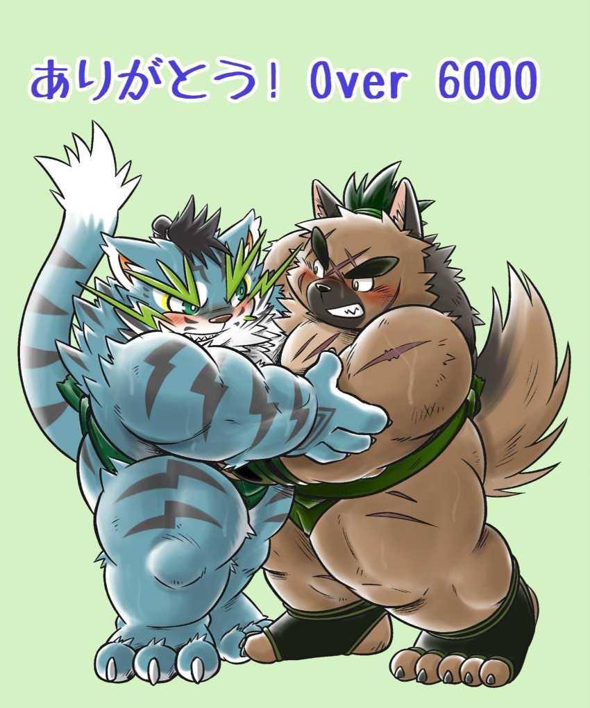 2021 anthro blue_body blue_fur blush bodily_fluids brown_body brown_fur canid canine canis domestic_dog duo felid fur hi_res humanoid_hands kemono male mammal mind_drive mizuse_higomaru overweight overweight_male pantherine raiden_shin'emon scar sengoku_puzzle simple_background sumo sweat tiger tokyo_afterschool_summoners video_games white_body white_fur yasuyori