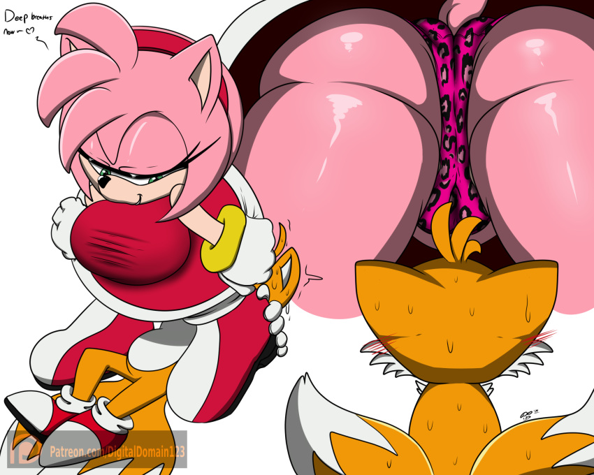 2021 2_tails amy_rose anthro black_nose bodily_fluids butt canid canine clothed clothing conditional_dnp dialogue digital_media_(artwork) digitaldomain123 duo english_text eulipotyphlan eyelashes female footwear fox gloves handwear hedgehog hi_res imminent_facesitting mammal miles_prower multi_tail sega simple_background sonic_the_hedgehog_(series) sweat text underwear white_background