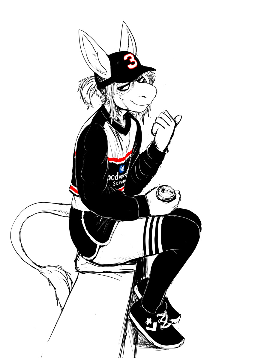 anthro asinus baseball_cap beverage_can clothing dolphin_shorts donk donkey equid equine footwear hair hat headgear headwear hi_res hladilnik legwear male mammal nascar ponytail sitting socks solo spot_color thigh_highs thigh_socks