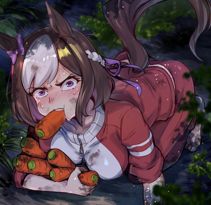 1girl absurdres animal_ears bangs barefoot blush breasts brown_hair carrot collarbone commentary crawling ear_bow field food food_in_mouth highres holding holding_food horse_ears horse_girl horse_tail jacket large_breasts looking_at_viewer moto_toshi multicolored_hair night nose_blush outdoors pants purple_eyes short_hair sleeves_pushed_up solo special_week_(umamusume) sweat tail track_jacket track_pants track_suit two-tone_hair umamusume v-shaped_eyebrows zipper