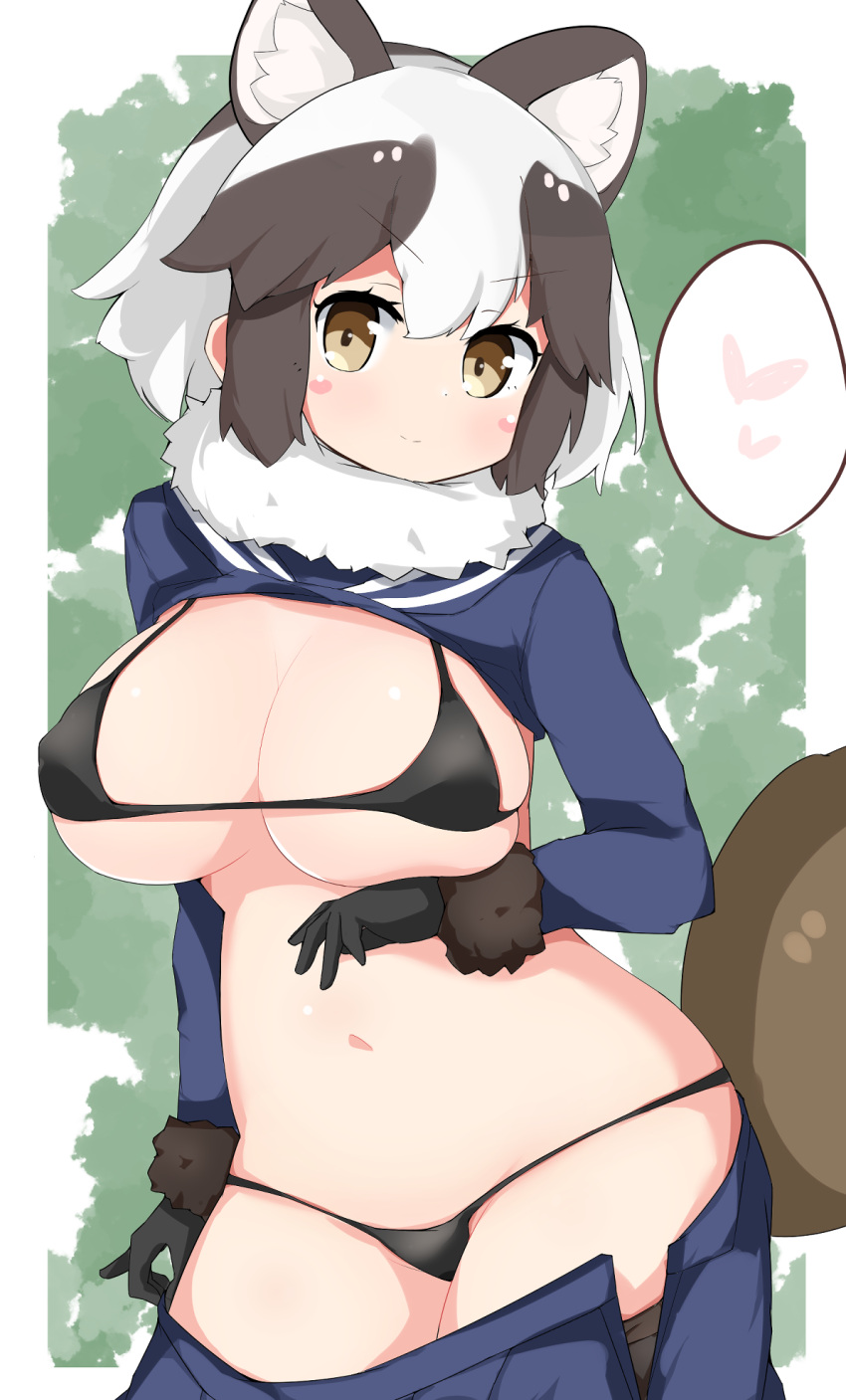 1girl animal_ears berusa_(berutoo) bikini black_bikini black_gloves black_hair blush breasts cleavage closed_mouth eyebrows_visible_through_hair gloves heart highres kemono_friends large_breasts long_sleeves looking_at_viewer micro_bikini multicolored_hair navel raccoon_ears raccoon_girl raccoon_tail short_hair smile solo speech_bubble spoken_heart swimsuit tail tanuki_(kemono_friends) undressing white_hair