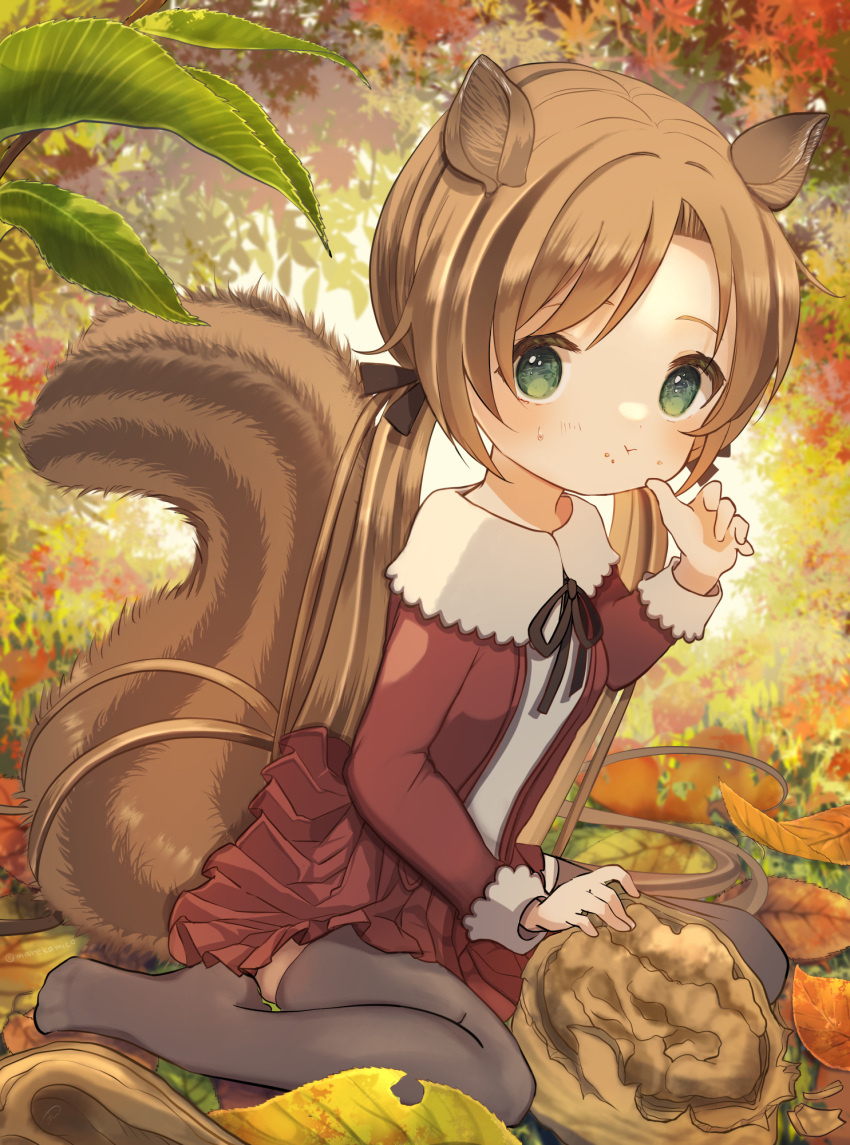1girl :t animal_ears autumn_leaves bangs black_ribbon blush brown_hair brown_jacket brown_skirt closed_mouth commentary_request eyebrows_behind_hair food food_on_face green_eyes grey_legwear hand_up highres jacket long_hair long_sleeves looking_at_viewer low_twintails marekamico neck_ribbon no_shoes open_clothes open_jacket original parted_bangs pleated_skirt ribbon shirt sitting skirt solo squirrel_ears squirrel_girl squirrel_tail tail thighhighs twintails very_long_hair walnut_(food) wariza white_shirt
