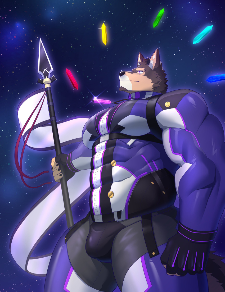1boy absurdres alternate_pectoral_size animal_ears bara bodysuit bulge chest_harness covered_abs dog_boy dog_ears dog_tail feet_out_of_frame from_side gohki_shiranui harness harpoon highres holding holding_polearm holding_weapon large_pectorals live_a_hero male_focus muscular muscular_male pectoral_lift pectorals polearm pubraseer_(live_a_hero) purple_bodysuit short_hair sky smile solo star_(sky) starry_sky tail thick_thighs thighs underbust weapon wind