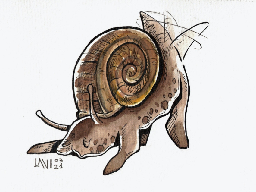 1other afterimage animal brown_theme commentary dated english_commentary extra_legs happy highres lavinia_brogi looking_down motion_lines multiple_legs no_humans open_mouth original shell shiny shiny_skin signature simple_background snail snail_shell solo tail tail_raised tail_wagging top-down_bottom-up white_background