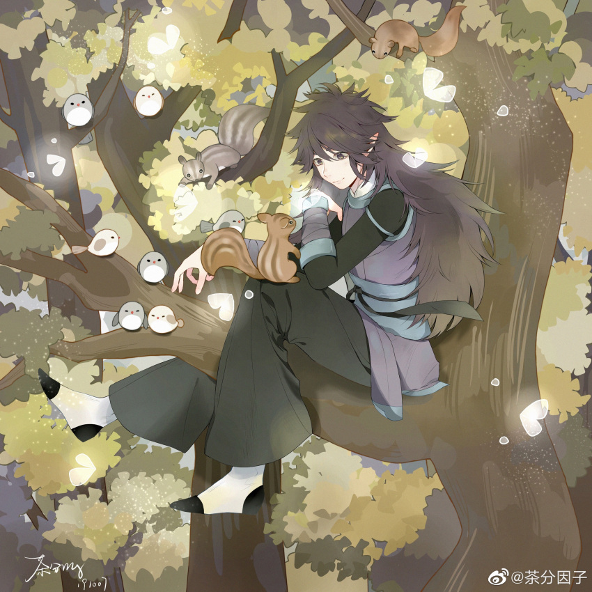 1boy absurdres bangs bird black_hair black_pants cha_fen_yin_zi fengxi_(the_legend_of_luoxiaohei) full_body highres leaf long_hair male_focus pants pointy_ears signature sitting smile solo squirrel the_legend_of_luo_xiaohei tree