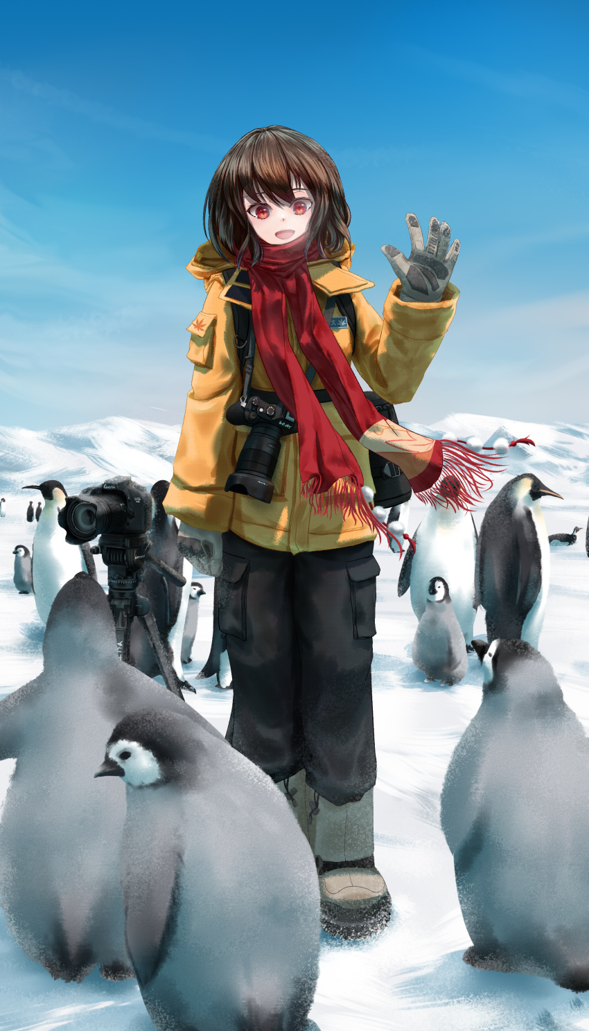1girl absurdres alternate_costume animal bird black_pants boots brown_hair brown_jacket camera chinese_commentary commentary_request fasnakegod full_body gloves happy highres jacket no_headwear open_mouth outdoors pants penguin red_eyes red_scarf scarf shameimaru_aya short_hair snow standing touhou tripod