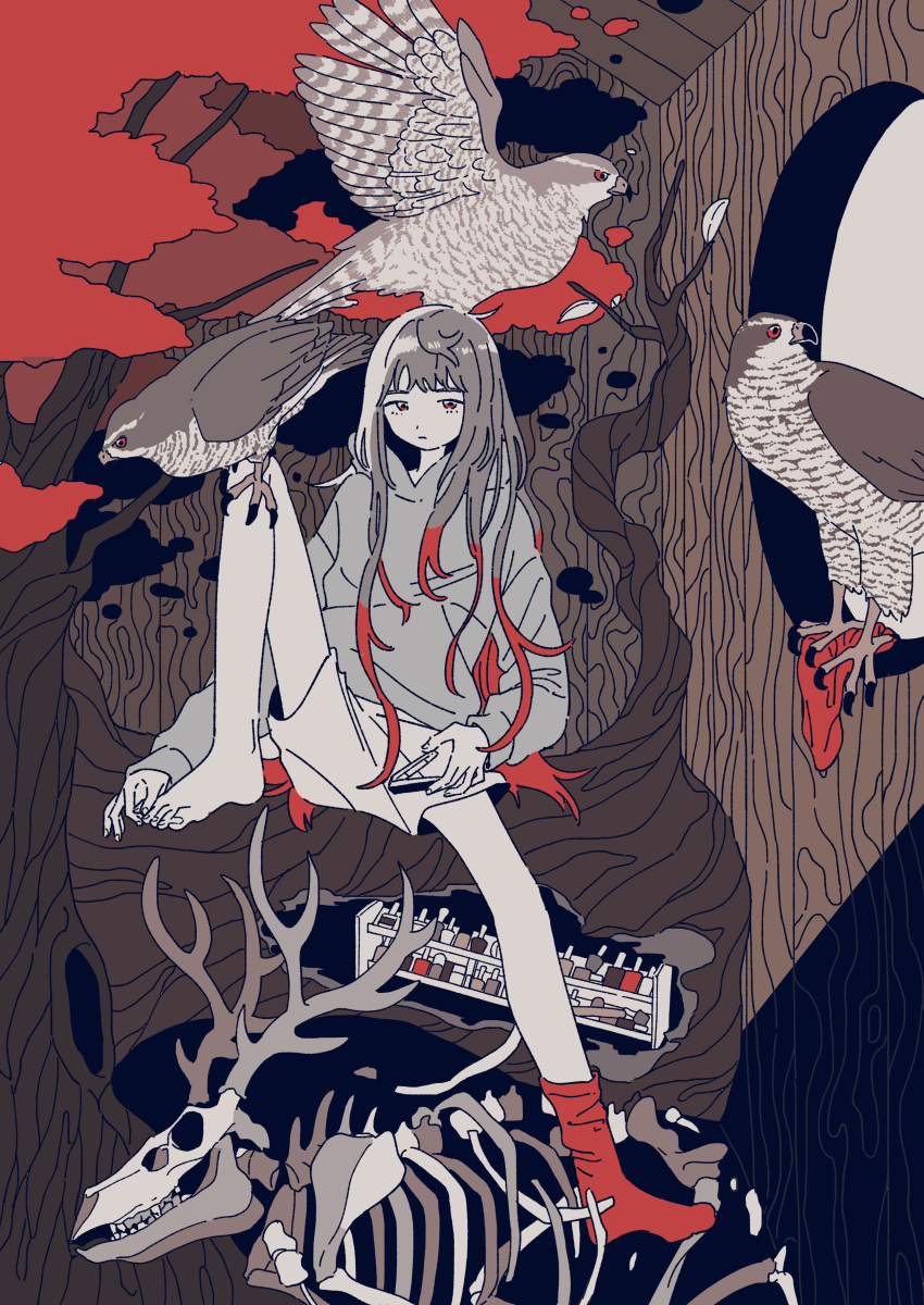 1girl absurdres animal_skull bangs bird bone commentary deer_antlers deer_skull eagle highres hood hoodie long_hair mitsuki_sanagi original red_background red_eyes red_legwear skeleton socks tree