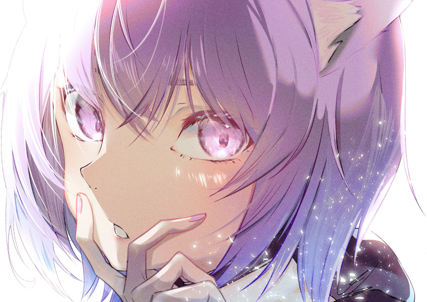 1girl absurdres animal_ear_fluff animal_ears bangs cat_ears commentary_request face hair_between_eyes hand_up highres hololive light_particles looking_at_viewer nail_polish nekomata_okayu parted_lips portrait purple_eyes purple_hair purple_nails short_hair simple_background solo urotare v_over_mouth virtual_youtuber white_background