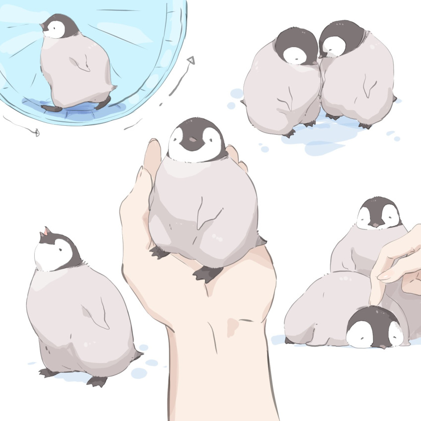 1other animal animal_focus arrow_(symbol) bird commentary_request hamster_wheel highres holding holding_animal original out_of_frame penguin tama_(tama-s) white_background