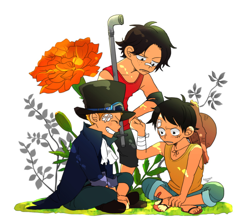 3boys ascot bandage_on_face bandages black_hair blonde_hair brothers flower freckles goggles goggles_on_headwear grin hat highres male_focus monkey_d._luffy multiple_boys one_piece pipe plant portgas_d._ace sabo_(one_piece) sandals scar scar_on_face short_hair shorts siblings sleeveless smile straw_hat tbt white_background