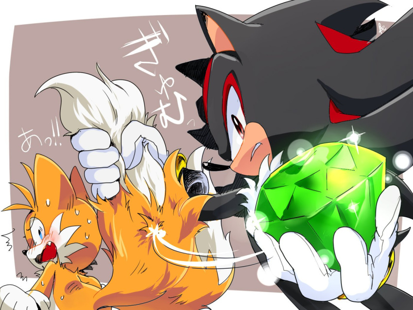 2boys ^^^ animal_ears animal_nose black_hair blue_eyes blush body_fur border brown_background chaos_emerald commentary fang fox_boy fox_ears fox_tail from_behind furry furry_male gem gloves hedgehog_ears hedgehog_tail holding holding_gem looking_at_another looking_at_viewer looking_back male_focus misuta710 multicolored_hair multiple_boys multiple_tails open_mouth orange_fur orange_hair outside_border profile red_hair shadow_the_hedgehog simple_background sonic_(series) sparkle streaked_hair sweat tail tail_grab tails_(sonic) teeth translation_request two-tone_hair wavy_mouth white_border white_gloves white_hair