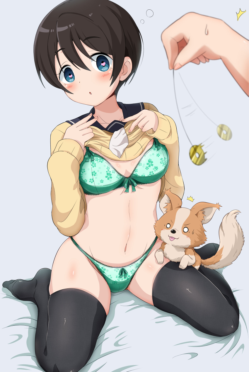 1girl 1other absurdres black_hair black_legwear blue_eyes blush bra breasts chihuahua chikuwa_(yurucamp) cleavage clothes_lift collarbone dog eggman_(pixiv28975023) eyebrows_visible_through_hair green_bra green_panties groin heart heart-shaped_pupils highres hypnosis lifted_by_self lingerie looking_at_viewer medium_breasts mind_control navel necktie open_mouth panties saitou_ena school_uniform shiny shiny_hair shirt_lift short_hair simple_background symbol-shaped_pupils thighhighs underwear white_background yurucamp