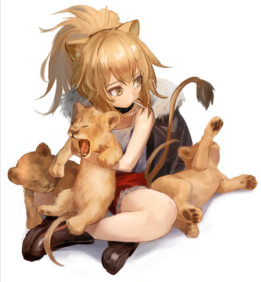 1girl absurdres animal animal_ears arknights black_collar black_footwear boots brown_hair candy collar commentary_request cub food full_body fur-trimmed_jacket fur-trimmed_shorts fur_trim highres holding holding_animal indian_style jacket jacket_removed kegani_(kegani01) lion lion_ears lion_girl lion_tail lollipop looking_to_the_side mouth_hold ponytail red_shorts shorts siege_(arknights) simple_background sitting solo studded_collar tail tank_top white_background white_tank_top yellow_eyes younger