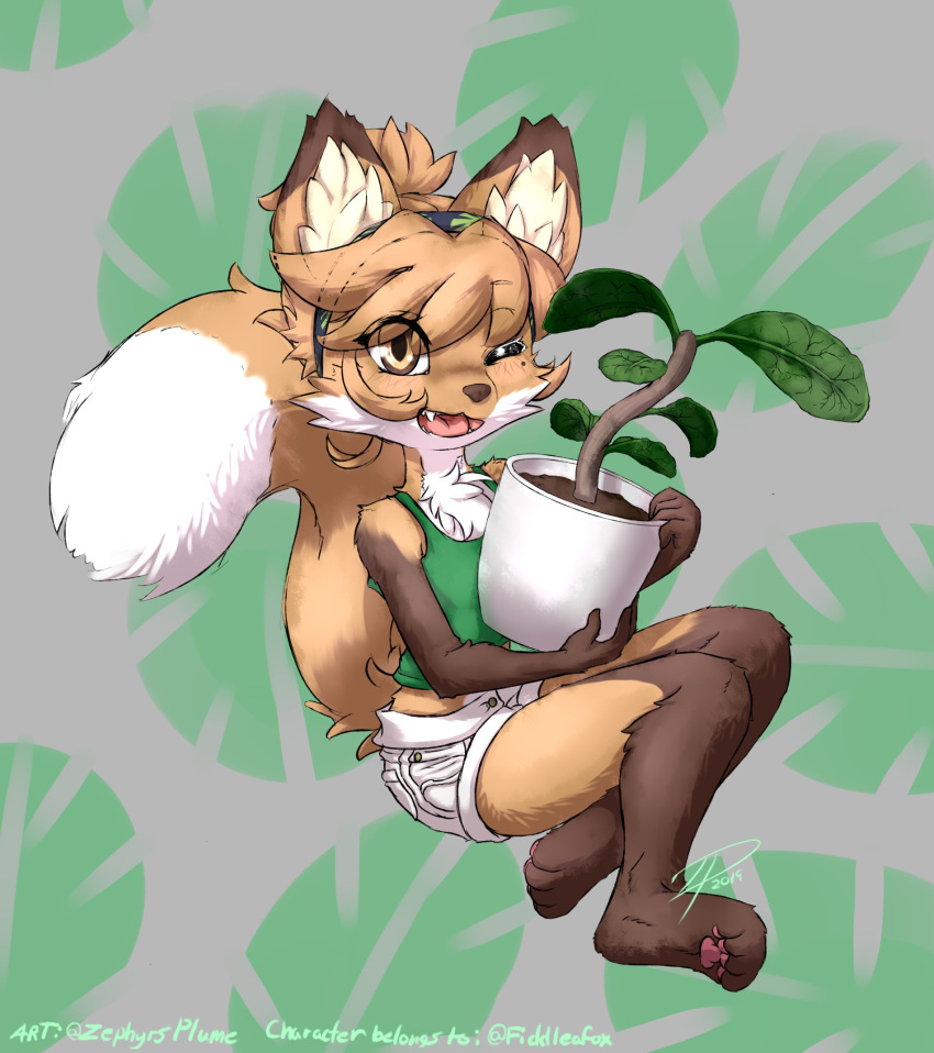 accessory anthro averi_(fiddleafox) bottomwear brown_body brown_eyes brown_fur canid canine clothing dipstick_tail female female_anthro fox fur gloves_(marking) green_clothing hair headband hi_res holding_object leg_markings looking_at_viewer mammal markings one_eye_closed pawpads paws plant plant_pot potted_plant shirt shorts simple_background sitting socks_(marking) solo tail tail_markings tank_top topwear white_body white_fur zephyrsplume
